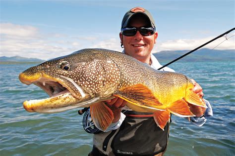 fly fishing lakes for trout.